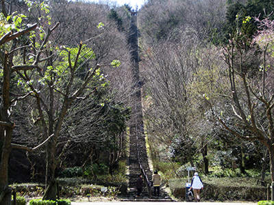 二上山ふるさと公園の展望台への階段